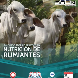 Curso de Nutrición en Rumiantes